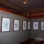 Museo - Museografía - Diseño - señalética corporativa